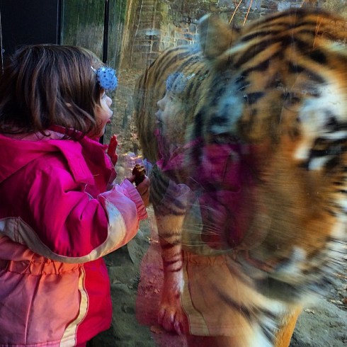 10347556_10101513229193367_5896591142552305456_n