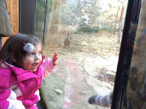 10623355_10101513223205367_5987537539653218534_o